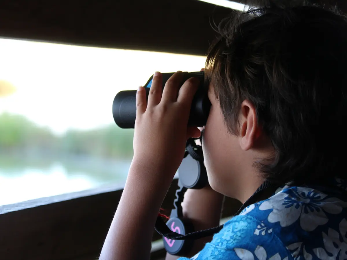 Apéro nature nocturne à Terres d'Oiseaux