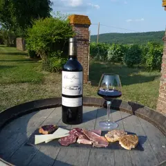 Apéro vigneron bio, au domaine Clos Basté