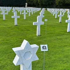 Appel à volontaires au cimetière américain – Installation de l'exposition