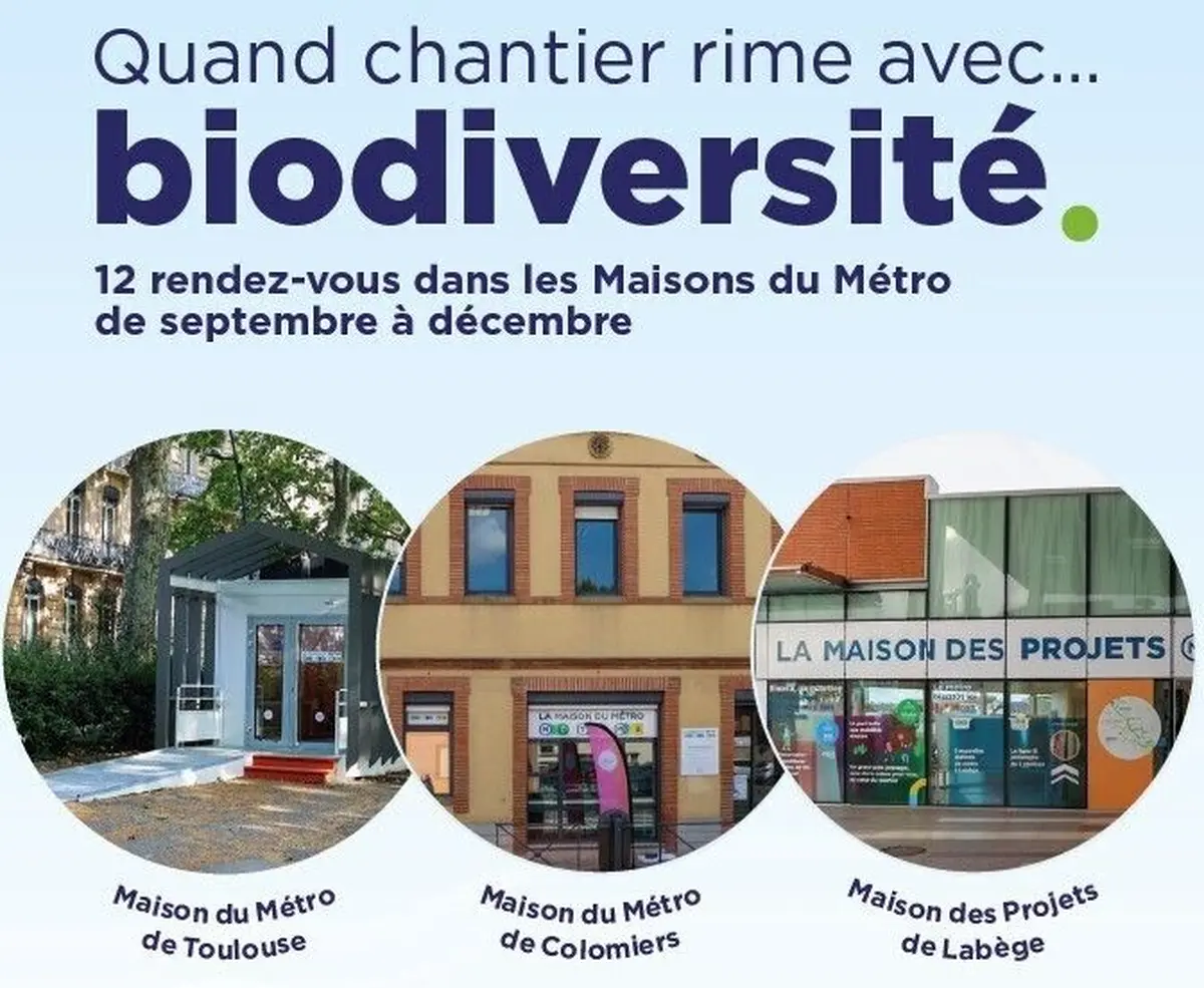 Apprendre à Construire Un Nichoir