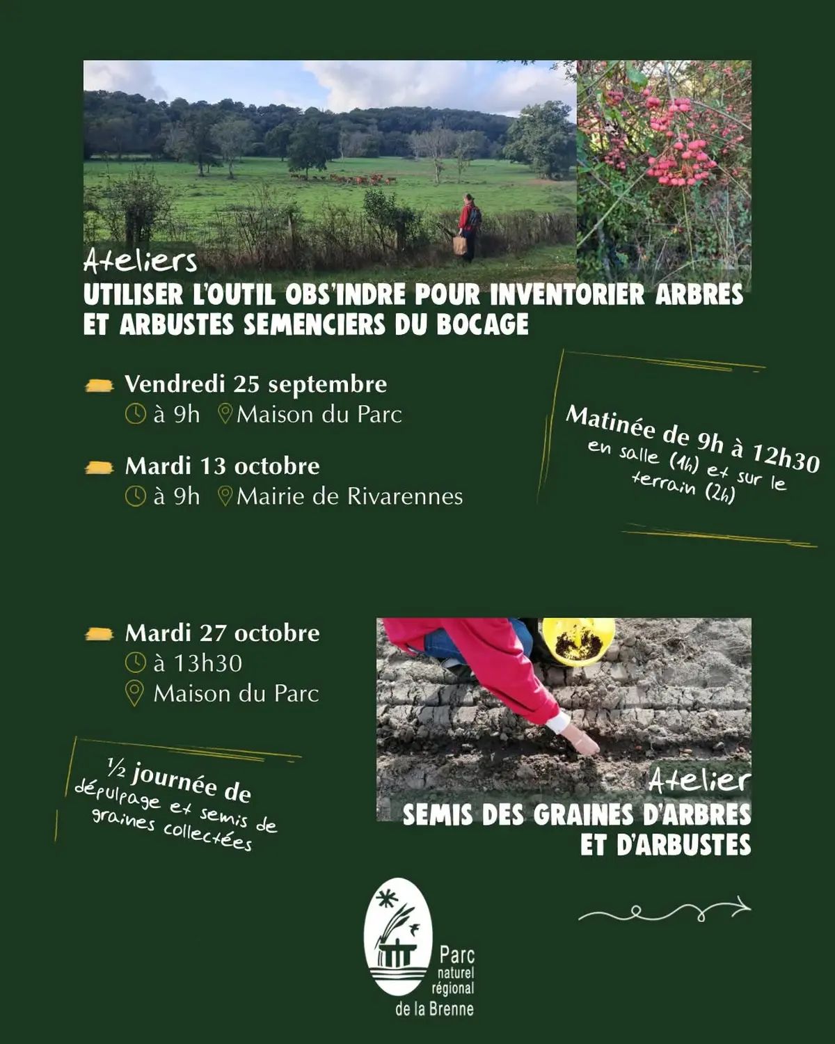 Apprendre à utiliser l’outil Obs’Indre pour inventorier des arbres et arbustes semenciers du bocage, récolte de leurs graines