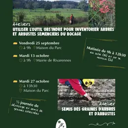 Apprendre à utiliser l’outil Obs’Indre pour inventorier des arbres et arbustes semenciers du bocage, récolte de leurs graines