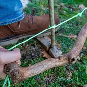 Apprendre le feu par friction