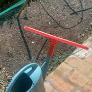 Apprenez à reconnaitre des plantes spontanées et semez des graines locales !