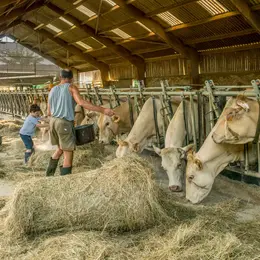 Apprenti à la ferme : moments magiques à la ferme