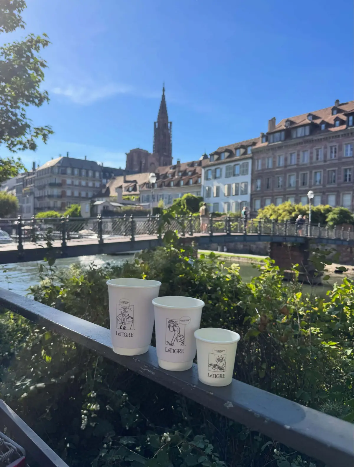 Après de gros travaux, cette librairie de Strasbourg cache désormais un nouveau café avec terrasse