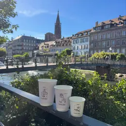 Après de gros travaux, cette librairie de Strasbourg cache désormais un nouveau café avec terrasse