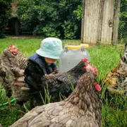 Après-midi Mini-Ferme à Gironville (77)