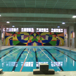 Aqua-carnaval à la piscine Château des Rentiers