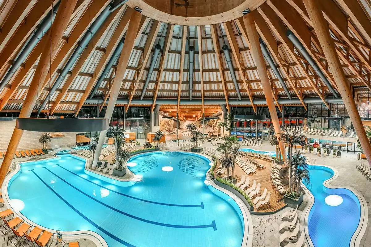 Vue d’ensemble du monde aquatique aquabasilea