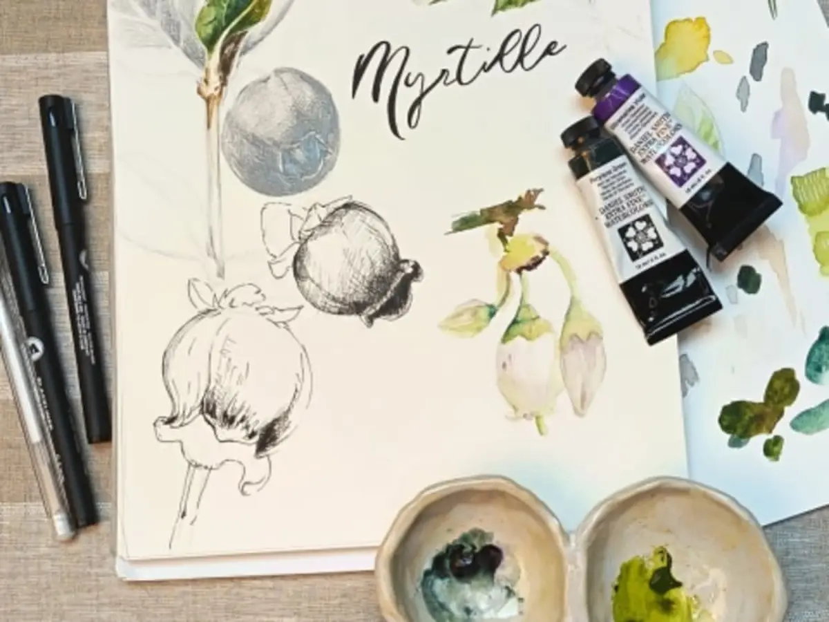 Aquarelle, Dessin & SPA face à la Baie de Paimpol (22)