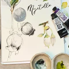Aquarelle, Dessin & SPA face à la Baie de Paimpol (22)