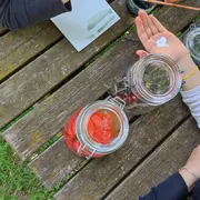 Aquarelle et peinture végétale