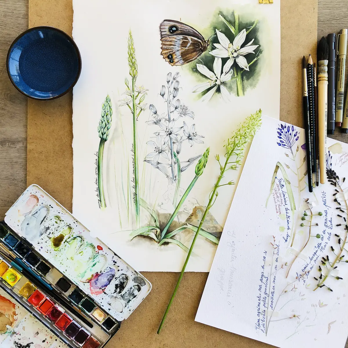 Aquarelles botaniques et illustrations nature