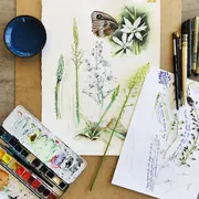 Aquarelles botaniques et illustrations nature