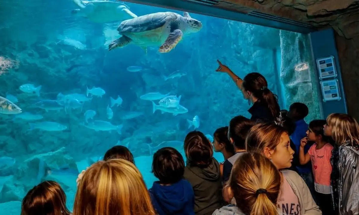 Aquarium de Biarritz