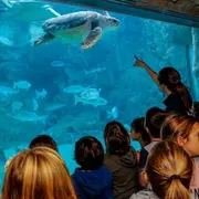 Aquarium de Biarritz