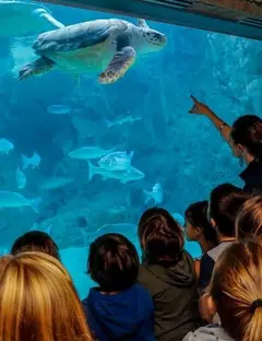 Aquarium de Biarritz