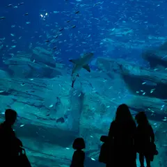 Aquarium de Paris : Billet d'entrée