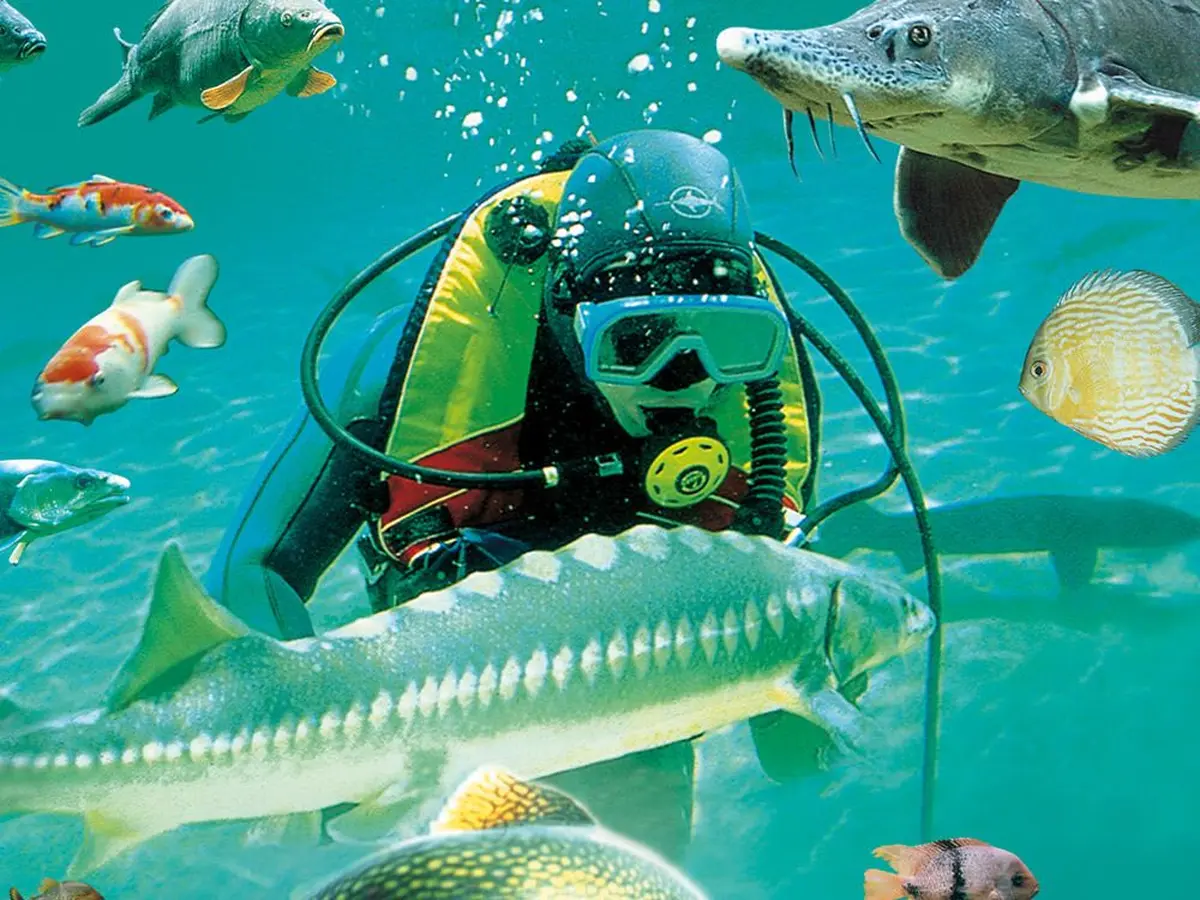 Aquarium du Périgord Noir