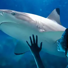 Aquarium SEA LIFE Paris