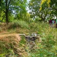 Arboretum de Paris