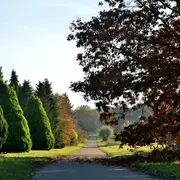 Arboretum de Versailles-Chèvreloup: Billet d'entrée