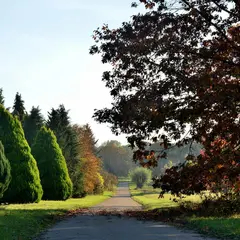 Arboretum de Versailles-Chèvreloup: Billet d'entrée
