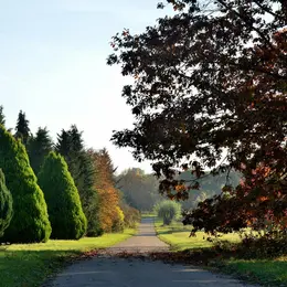 Arboretum de Versailles-Chèvreloup: Billet d'entrée