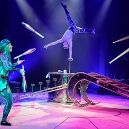 Arbre, le nouveau spectacle du Cirque Bormann - À partir du 5 octobre 2024