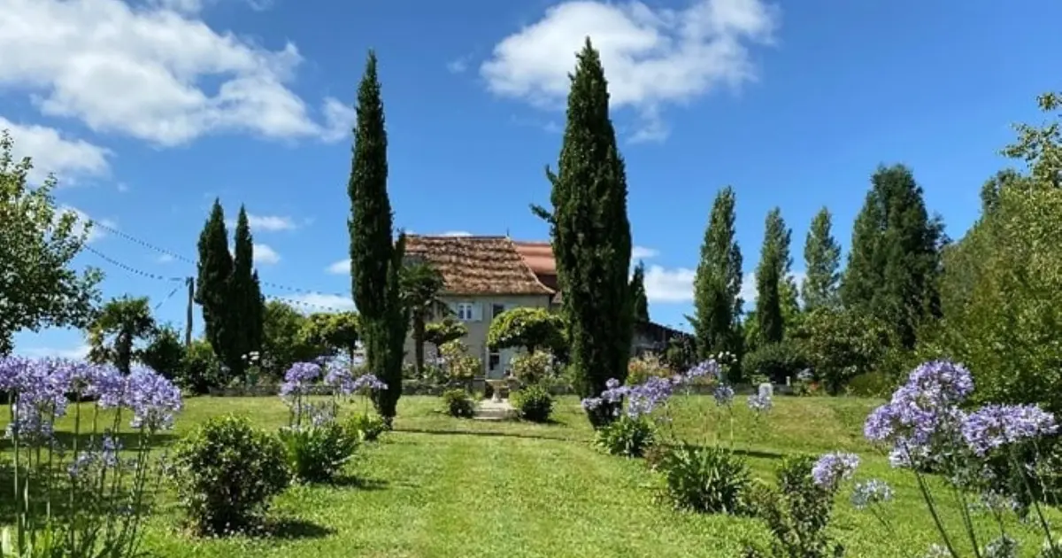 Arbres, arbres de vie, arbres de Cinquantie