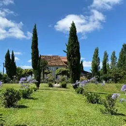 Arbres, arbres de vie, arbres de Cinquantie