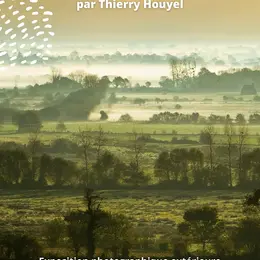 Arbres et bocage du Cotentin et du Bessin