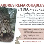 Arbres remarquables en Deux-Sèvres