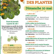 Arc en ciel des plantes