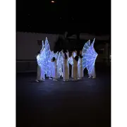 Arcangues en lumière