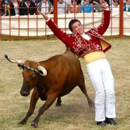 Arènes en fête : spectacle de vachettes