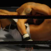 ARES Février Paris - MMA