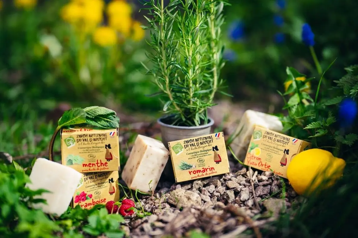 Les irrésistibles de l'été Argasol