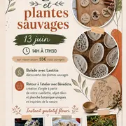 Argile et plantes sauvages