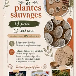 Argile et plantes sauvages