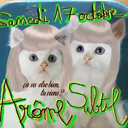 Arôme Subtil (techno Electrotrash Live)