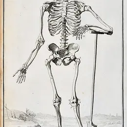 ARPL 2026 - Visite guidée des planches Anatomie de l'Encyclopédie