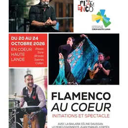 Arte Flamenco Au Coeur