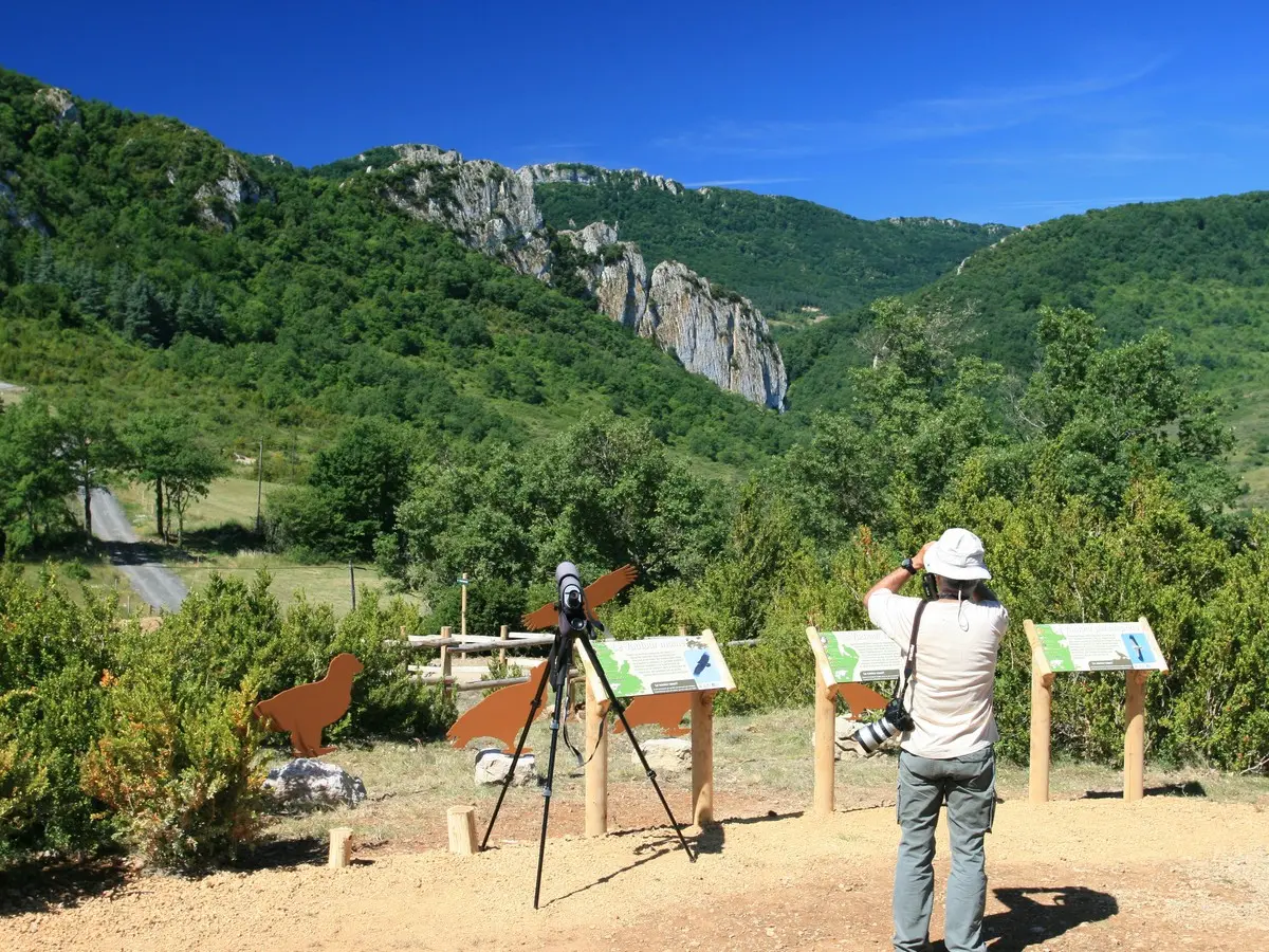 Artistes à Suivre 2026 - Observatoire Des Vautours