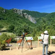Artistes à Suivre 2026 - Observatoire Des Vautours