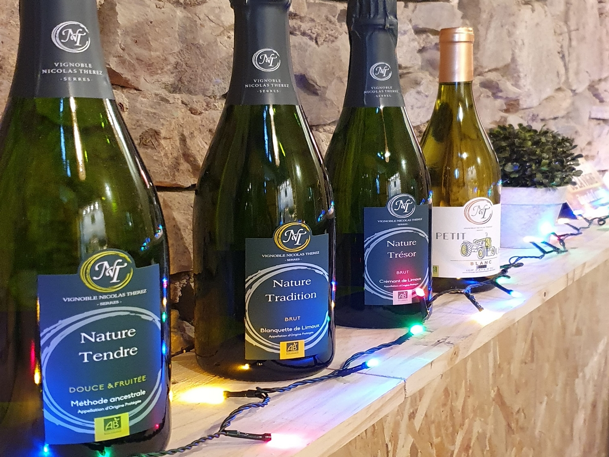 Artistes à Suivre 2026 - Vignoble Nicolas Thérez