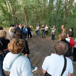 Arts en Sèvre : Parcours piéton à Niort