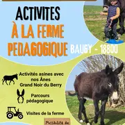 Asino-éveil pour les Enfants