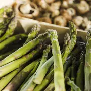 Asperges de France : la saison 2026 bat son plein sur les étals
